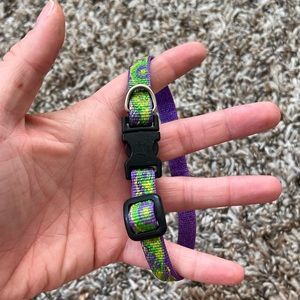 Lupine Dog Collar